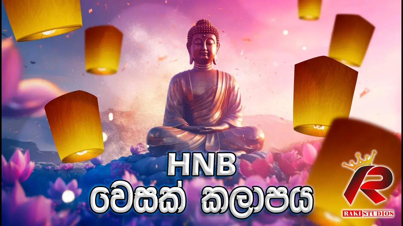 Event Videography (HNB වෙසක් කලාපය 2024)